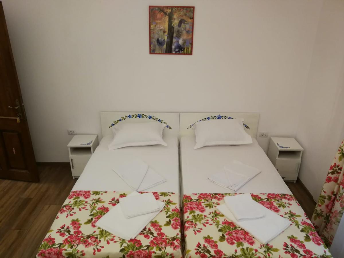 Pensiunea Geostar 2 Árgyasudvarhely Kültér fotó