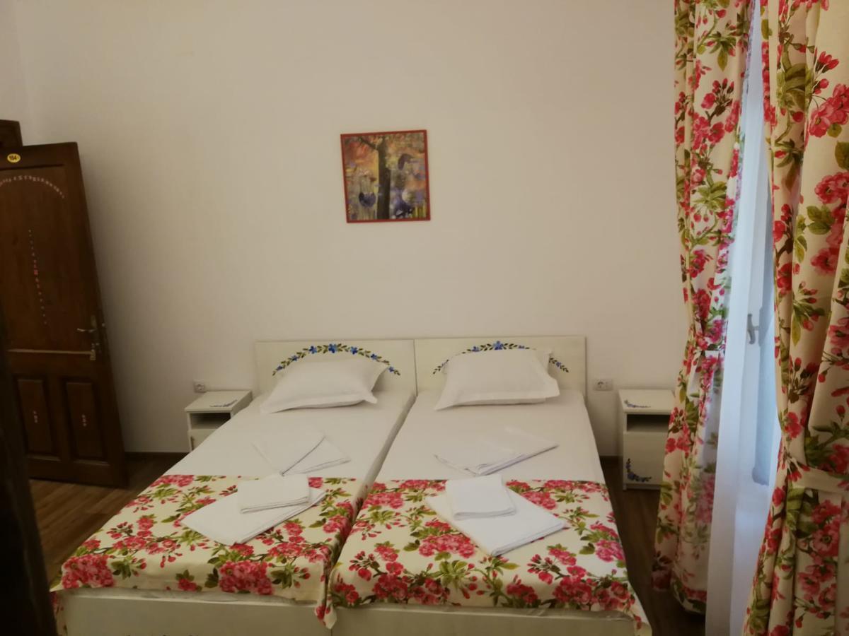 Pensiunea Geostar 2 Árgyasudvarhely Kültér fotó